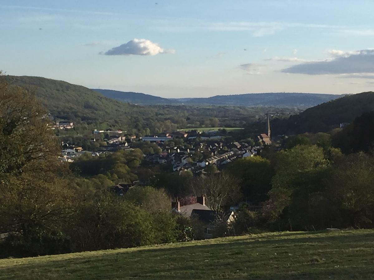 Swansea Log Cabin Pontardawe ภายนอก รูปภาพ